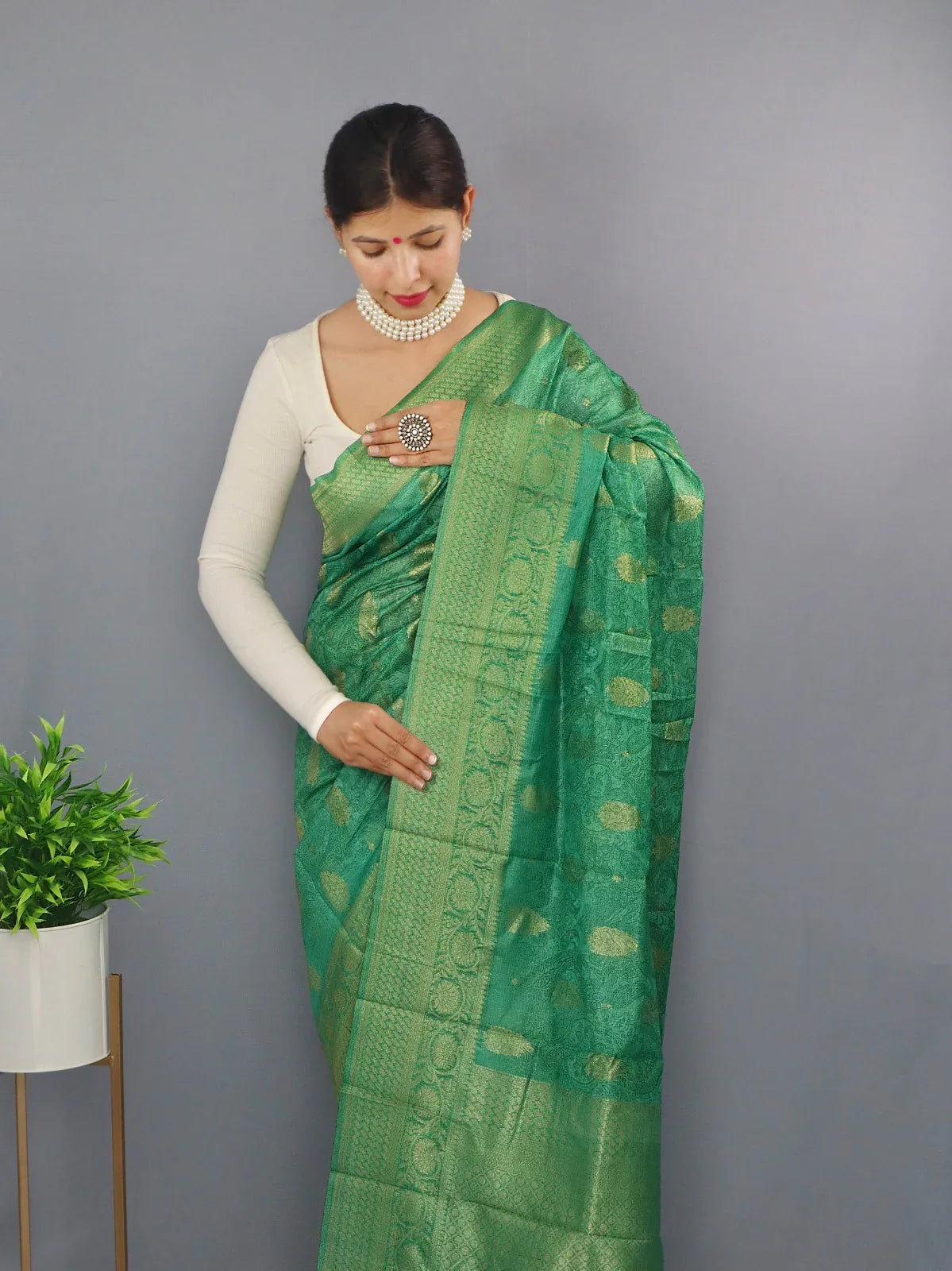 Beautiful Designer Party Wear Pure Chanderi Tilak Saree