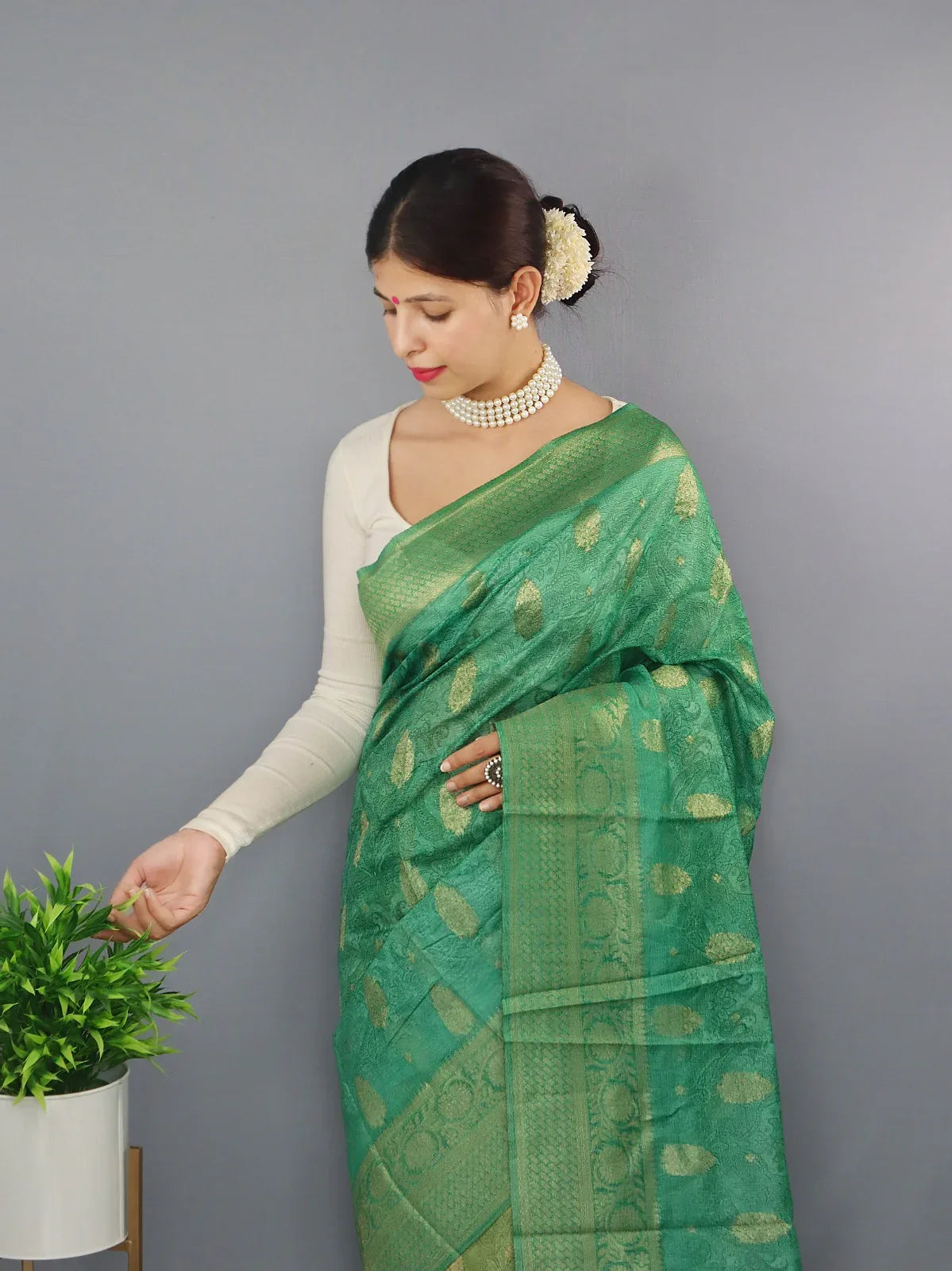 Beautiful Designer Party Wear Pure Chanderi Tilak Saree