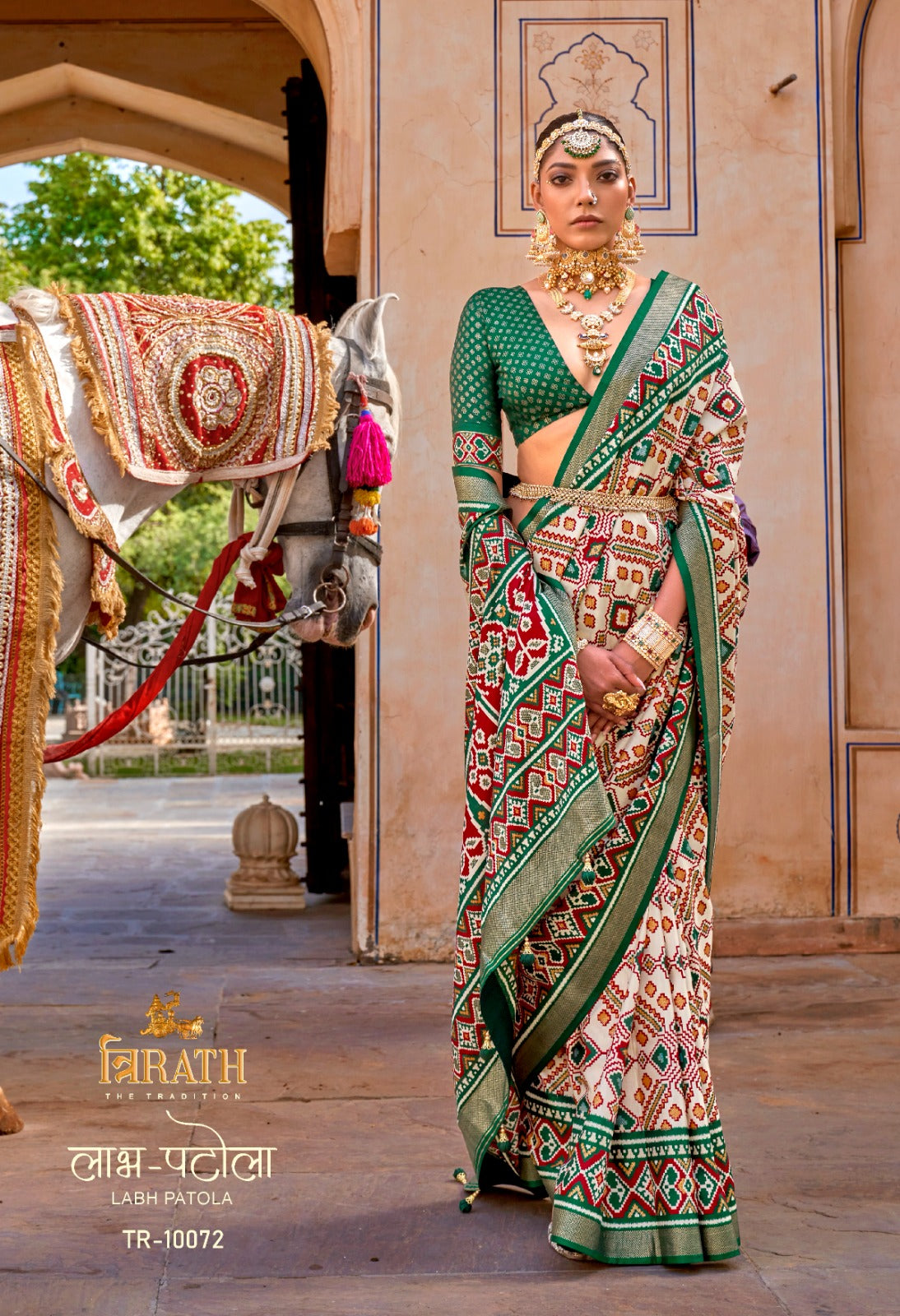 Beautiful Designer Beautifully Designed Trirath Labh Patola Saree 10072