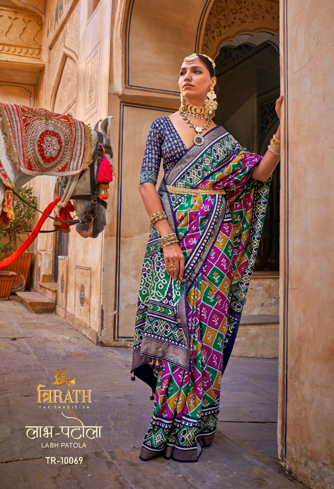 Beautiful Designer Beautifully Designed Trirath Labh Patola Saree 10069