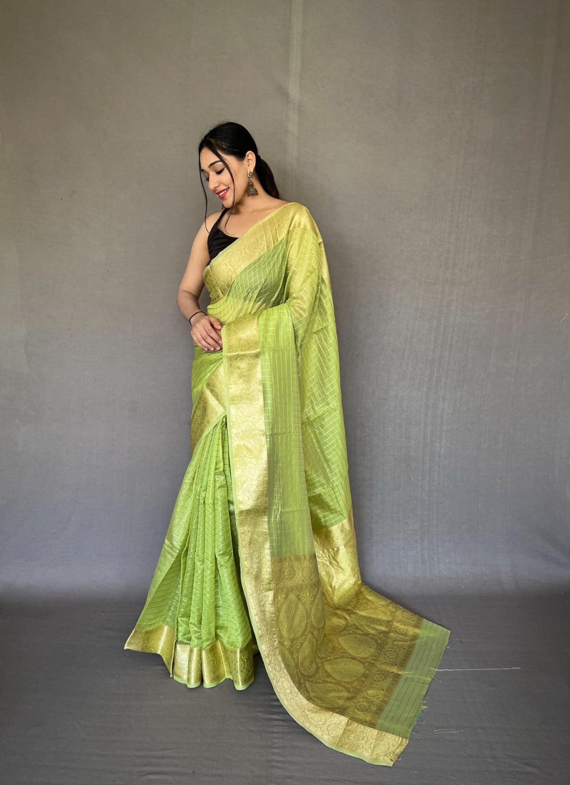 Beautiful Designer Organza Checks Saree