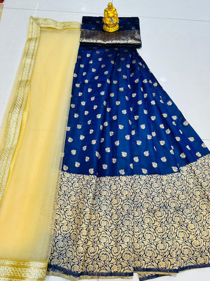 Beautiful Designer Premium Banarasi Lehenga Choli