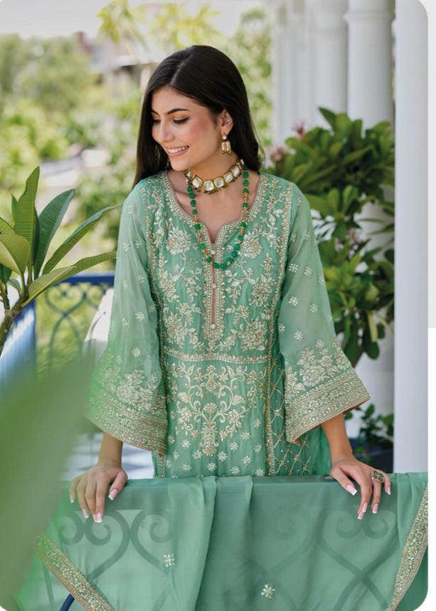 Zaveri Anaya Soft Orgenza Pakistani Salwar Suit Collection (1699x04)