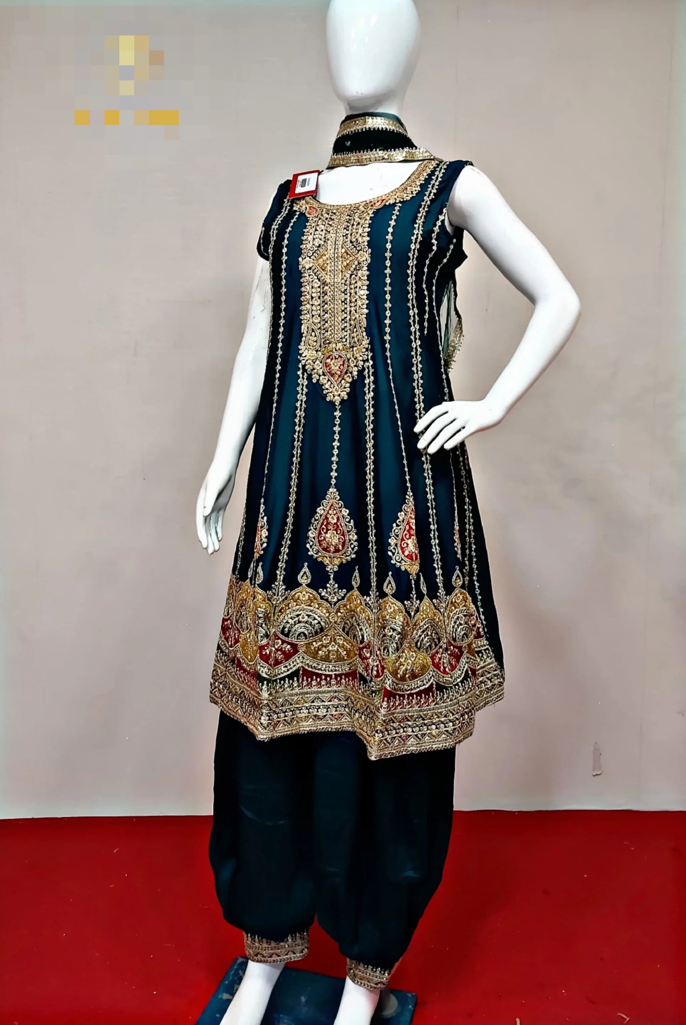 Beautiful Designer Punjabi wedding Suit