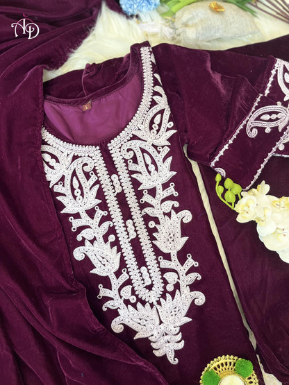 Beautiful Winter Designer Velvet Suit