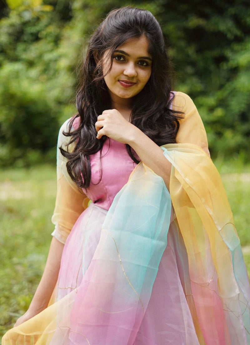 Party Wear Look Organza Taby Silk Gown