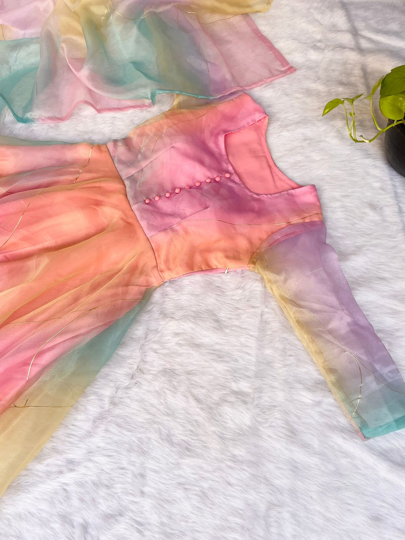 Party Wear Look Organza Taby Silk Gown