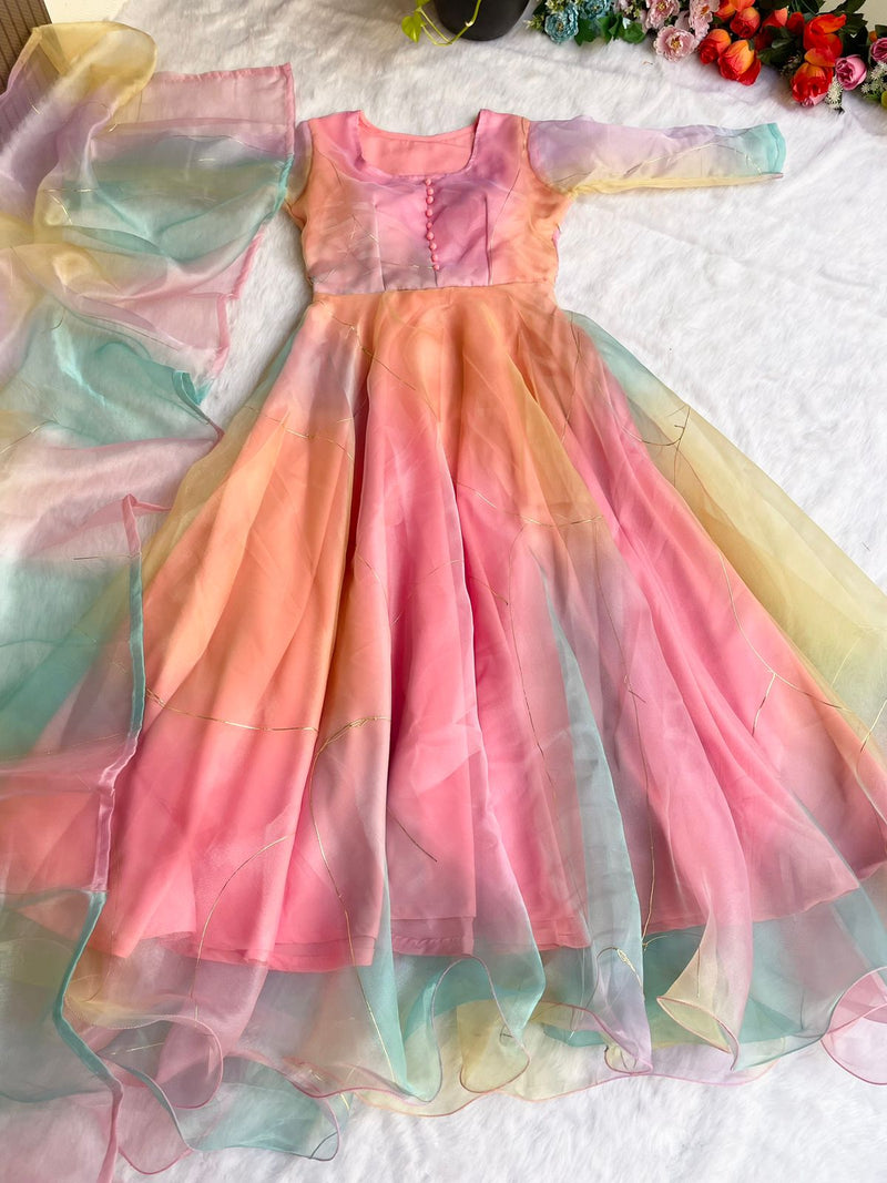 Party Wear Look Organza Taby Silk Gown