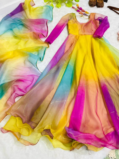 New Party Wear Designer Look Mastani Organza Silk Gown
