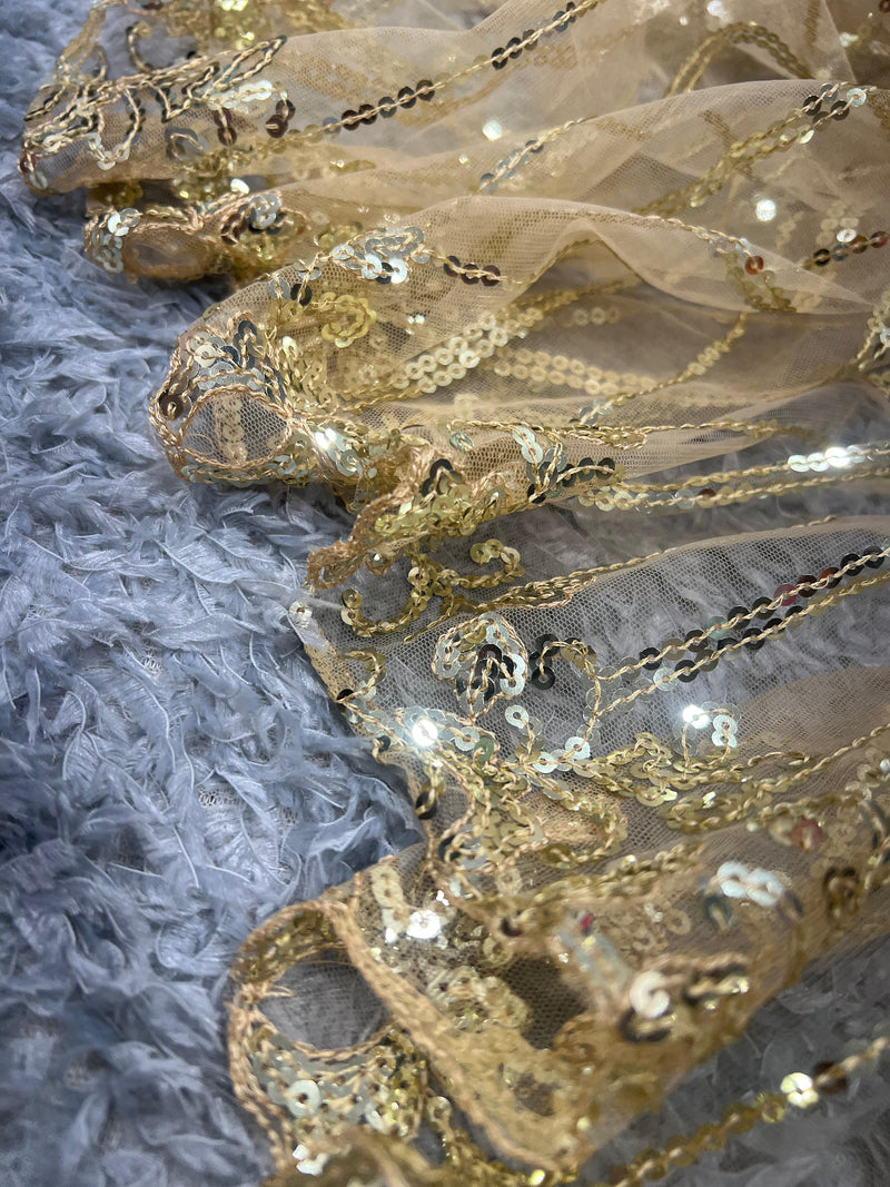 Beautiful Designer Soft Net Sequanc Saree Design 5313