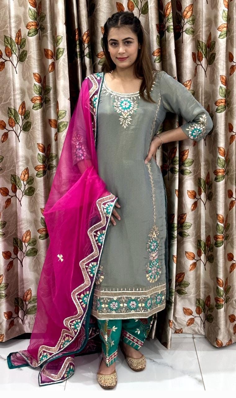 Beautiful Punjabi Designer Suit - Main Image