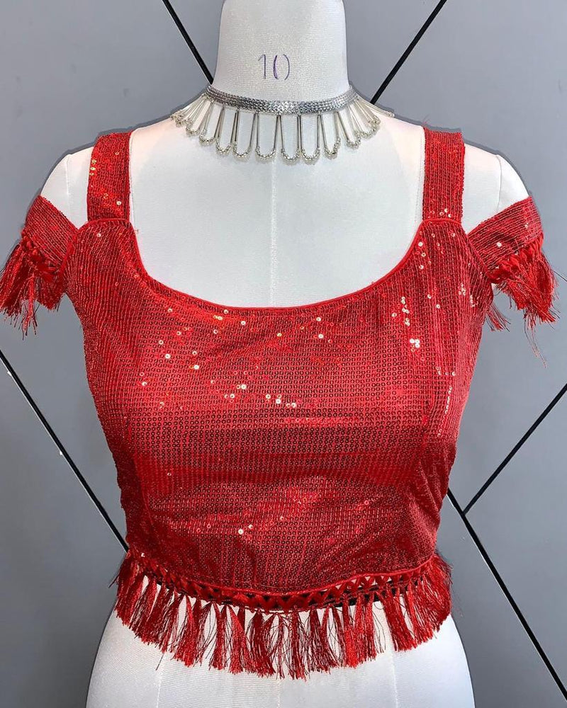 Beautiful Designer Zara Sequence Blouse