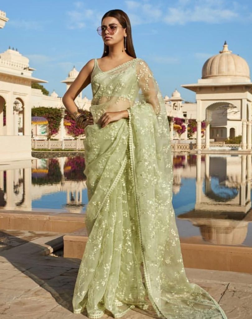 Beautiful Designer Soft Organza Sequence Saree