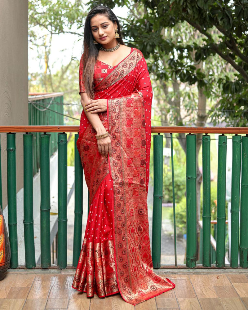 Beautiful Designer Kanjiwarm Pure Bandhej Saree