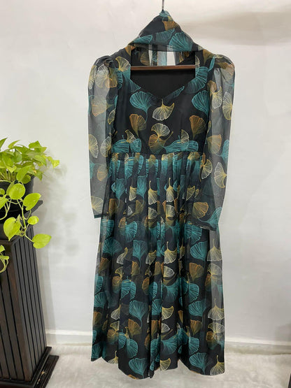 Party Wear Look Organza Taby Silk Gown