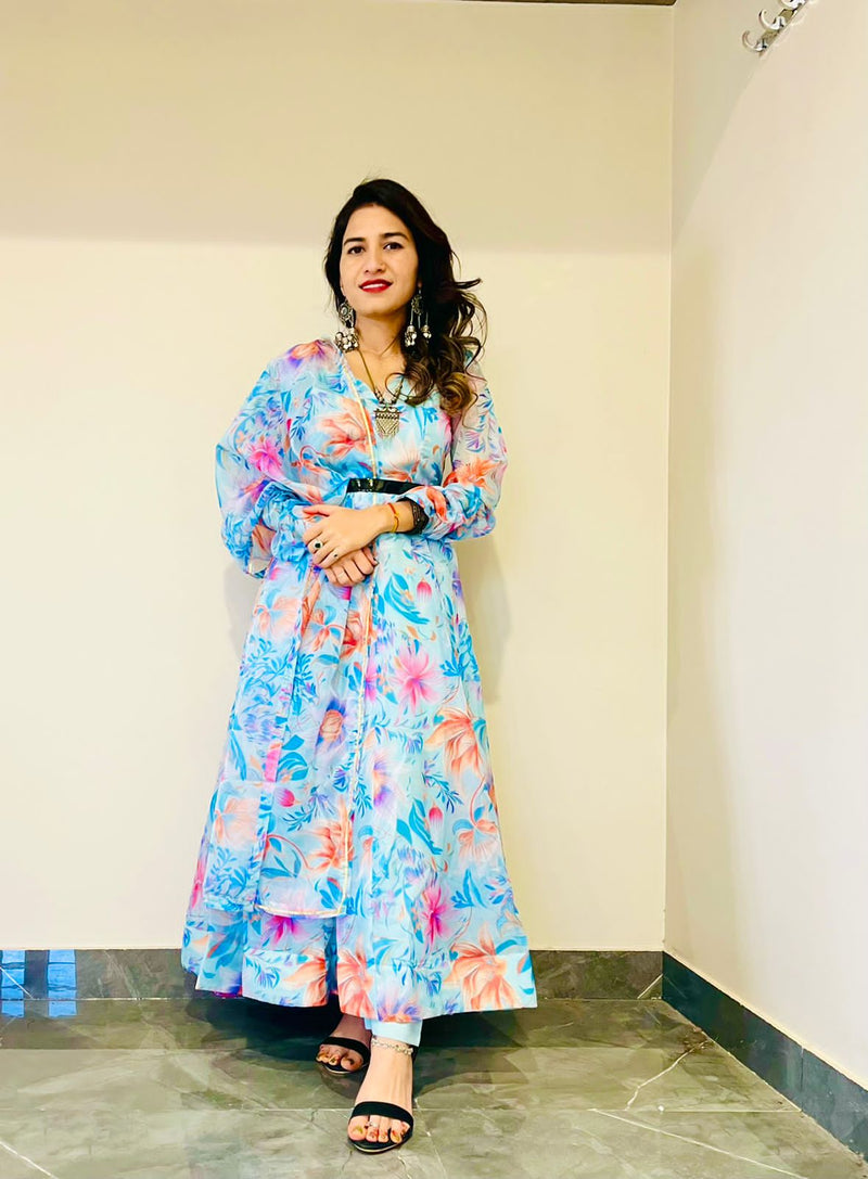 Party Wear Look Organza Taby Silk Gown