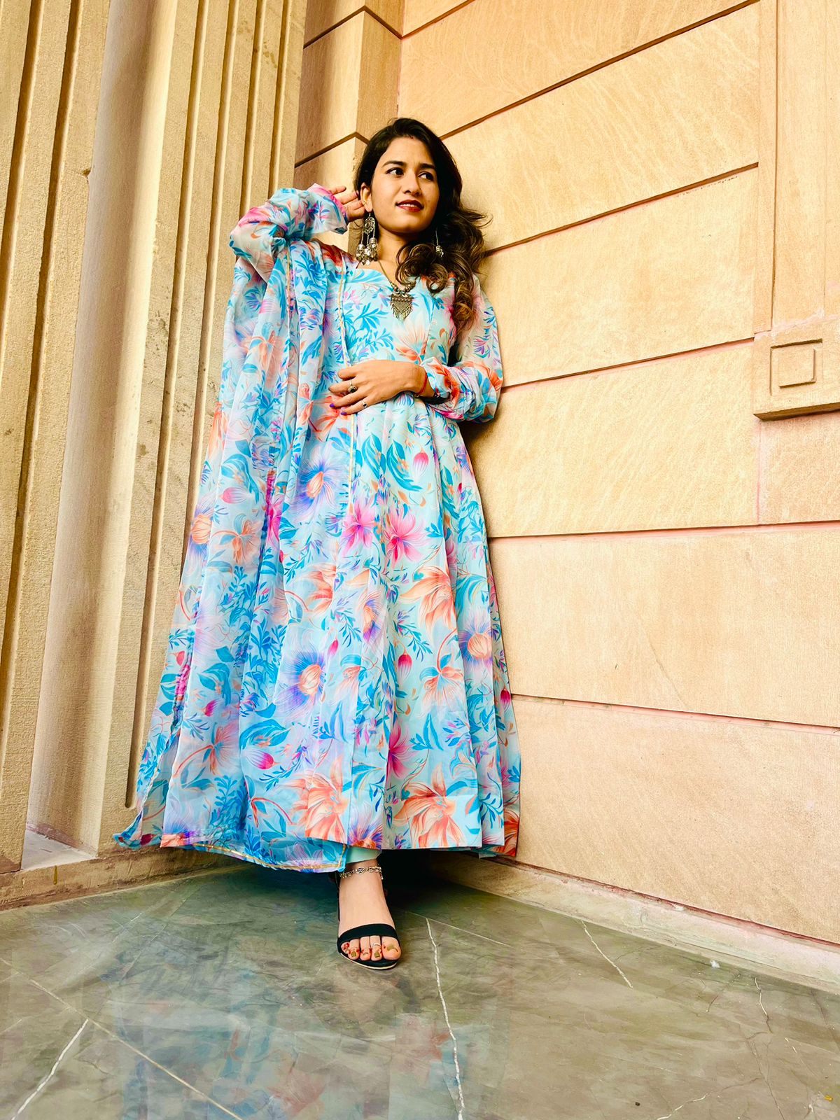 Party Wear Look Organza Taby Silk Gown