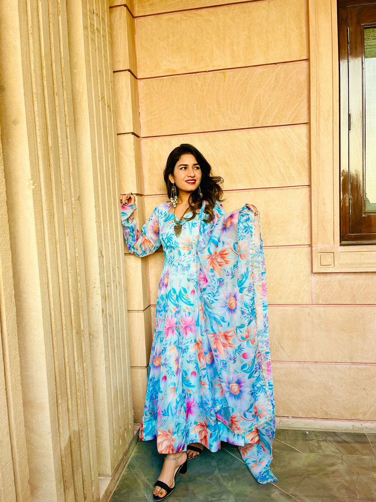 Party Wear Look Organza Taby Silk Gown