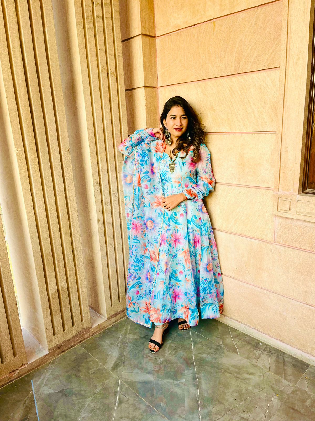 Party Wear Look Organza Taby Silk Gown