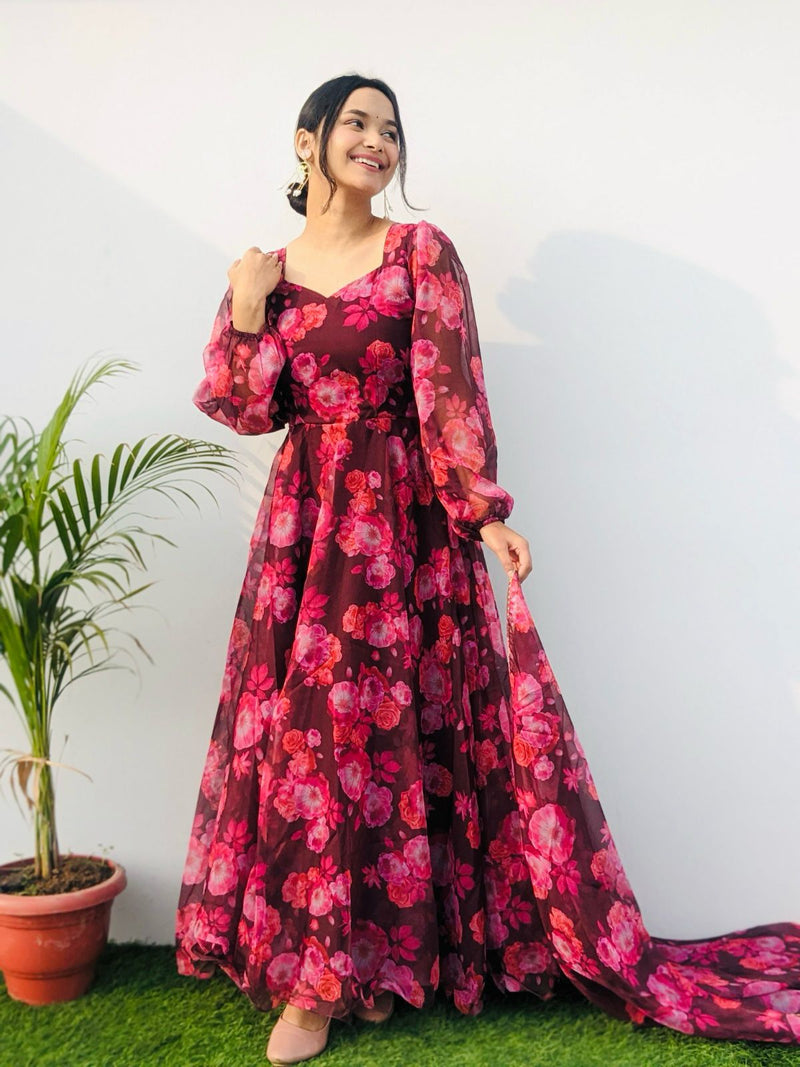 Party Wear Look Organza Taby Silk Gown