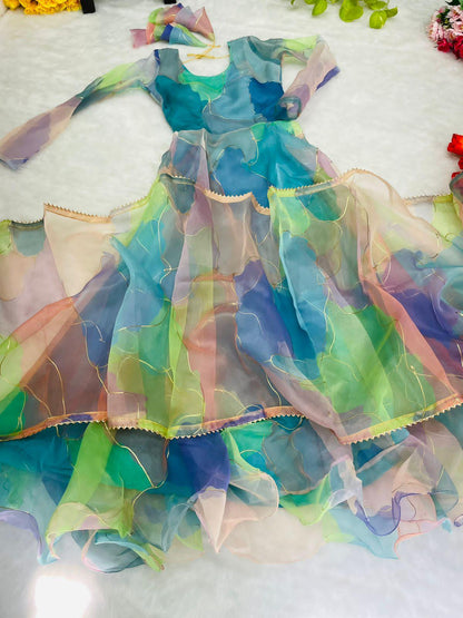 Party Wear Look Organza Taby Silk Gown