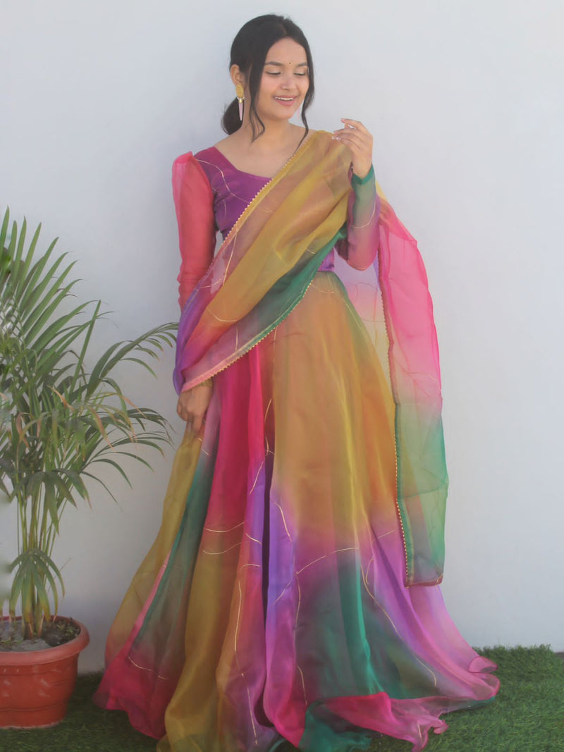 Party Wear Look Organza Silk Gown With Dupatta