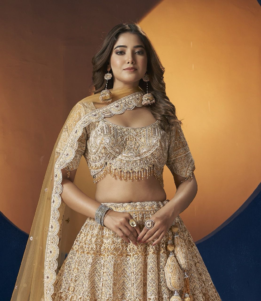 Beautiful Bridal Designer Lehenga Choli