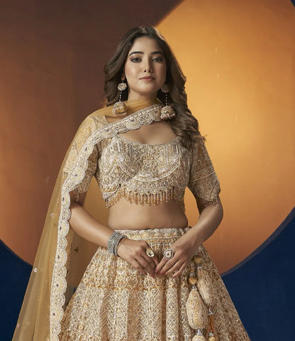 Beautiful Bridal Designer Lehenga Choli