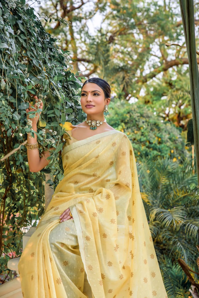 Beautiful Designer Pure Linen Silk Saree