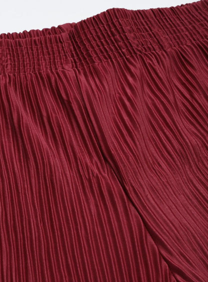Beautiful Designer Pleated  Lycra Palazzo