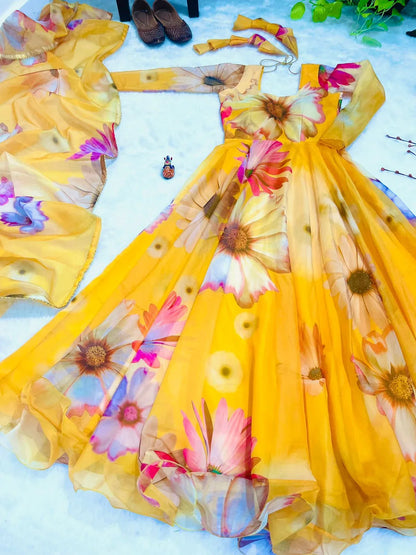 Party Wear Look Organza Taby Silk Gown