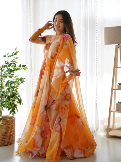 Party Wear Look Organza Taby Silk Gown