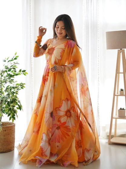 Party Wear Look Organza Taby Silk Gown