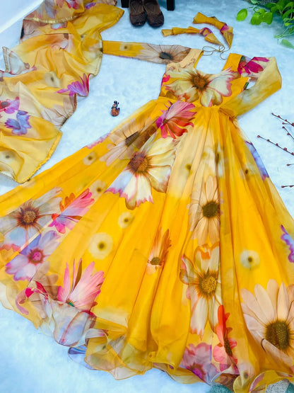 Party Wear Look Organza Taby Silk Gown
