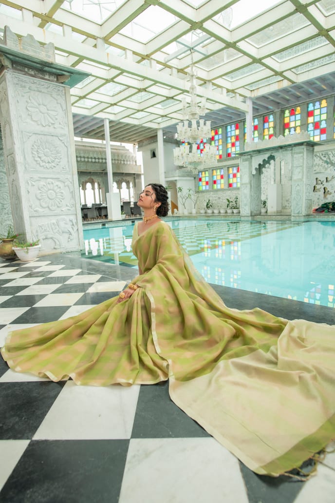 Beautiful Designer Pure Linen Saree