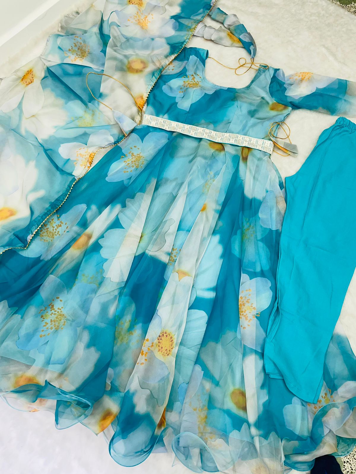 Party Wear Look Organza Taby Silk Gown