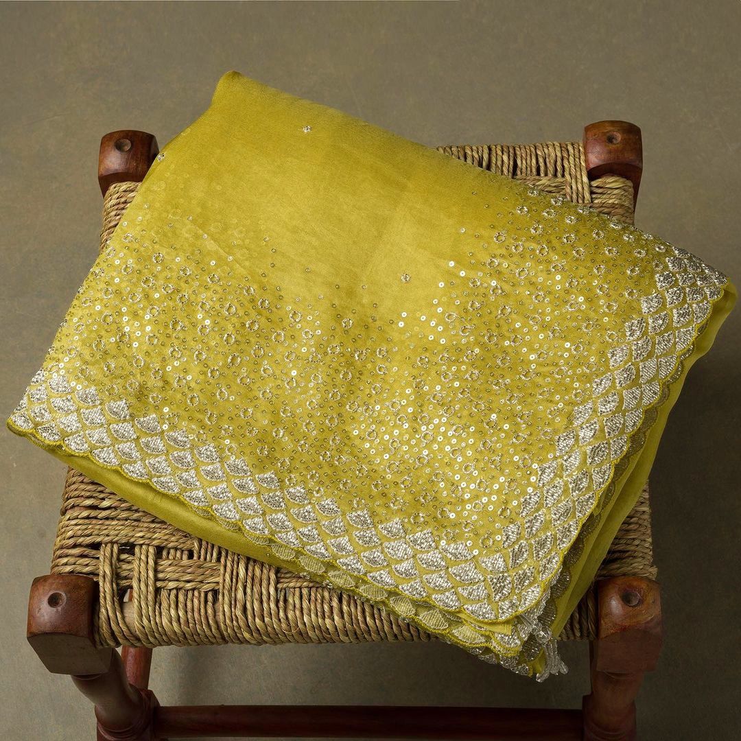 Beautiful Designer Chinon Sequence Saree