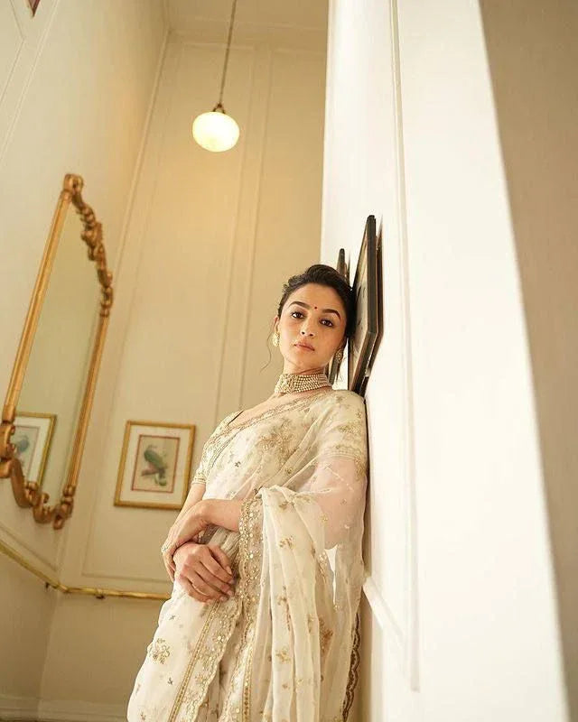 Beautiful Designer Heavy Orgenza Sequanc Saree