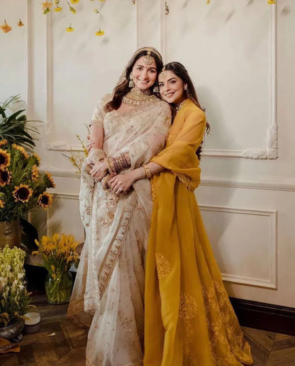 Beautiful Designer Heavy Orgenza Sequanc Saree