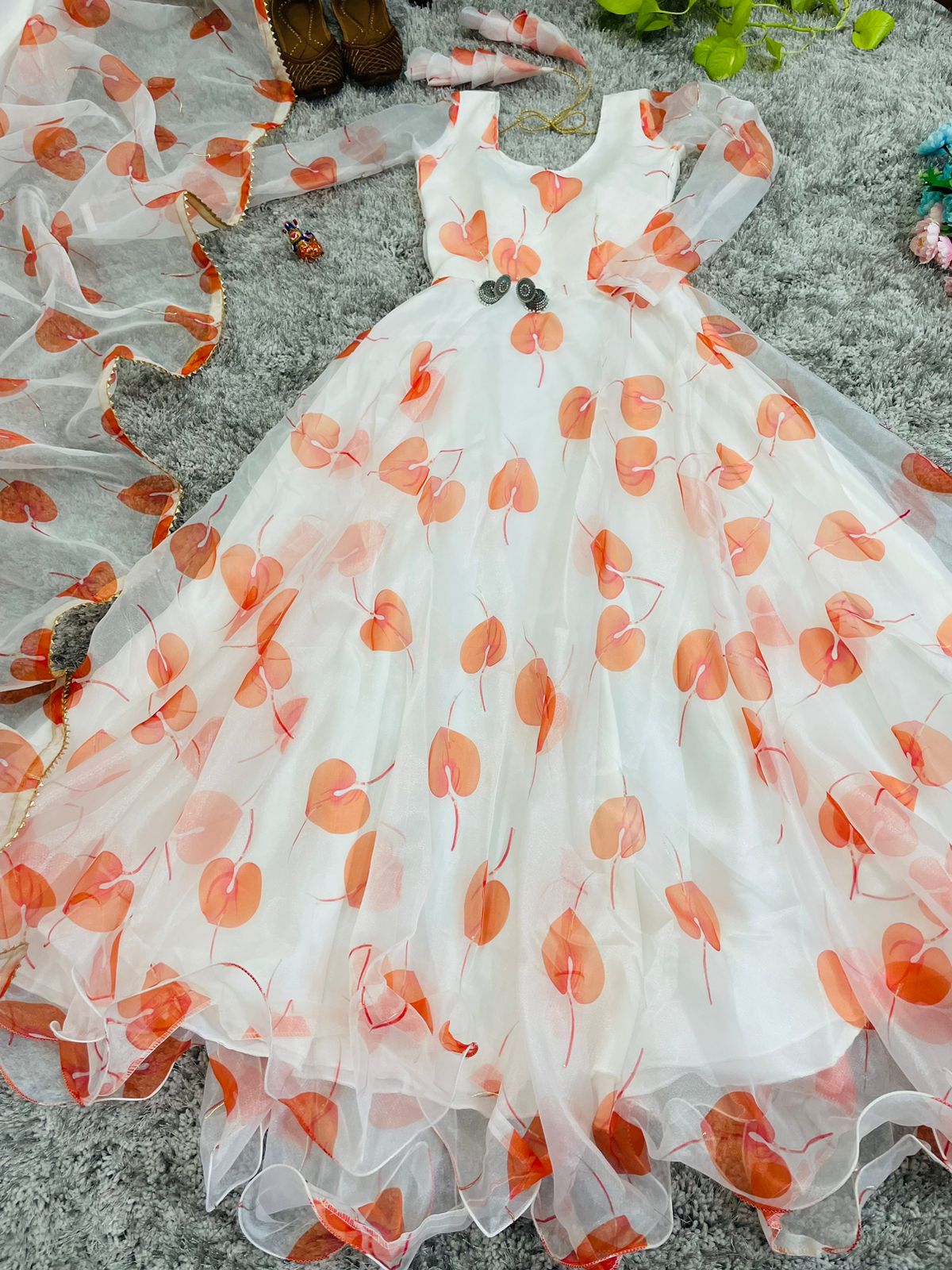 New Party Wear Designer Look Mastani Organza Silk Gown