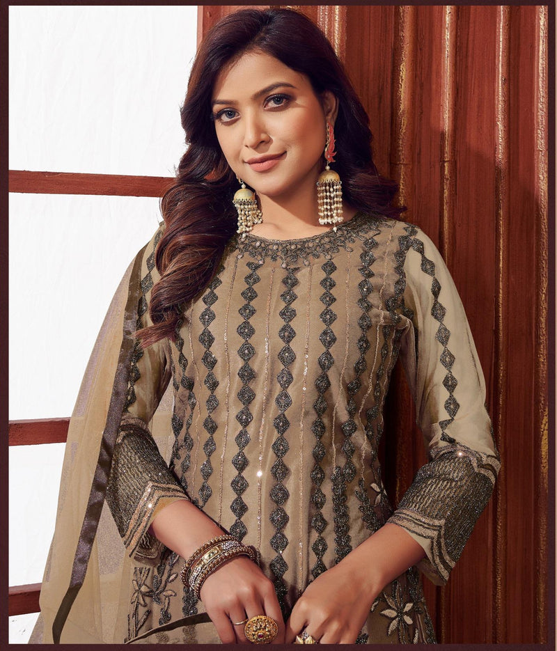 Beautiful Designer Eira Heavy Net Pakistani Salwar Suit