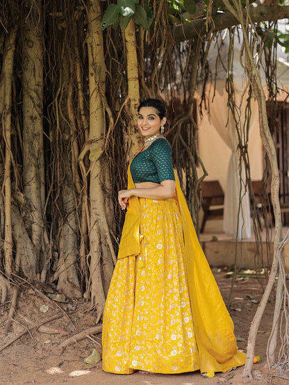 Beautiful Designer Party Wear Banarasi Lehenga Choli - Anant Exports