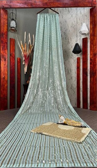 Beautiful Designer Party Wear Georgette  Sequence Saree