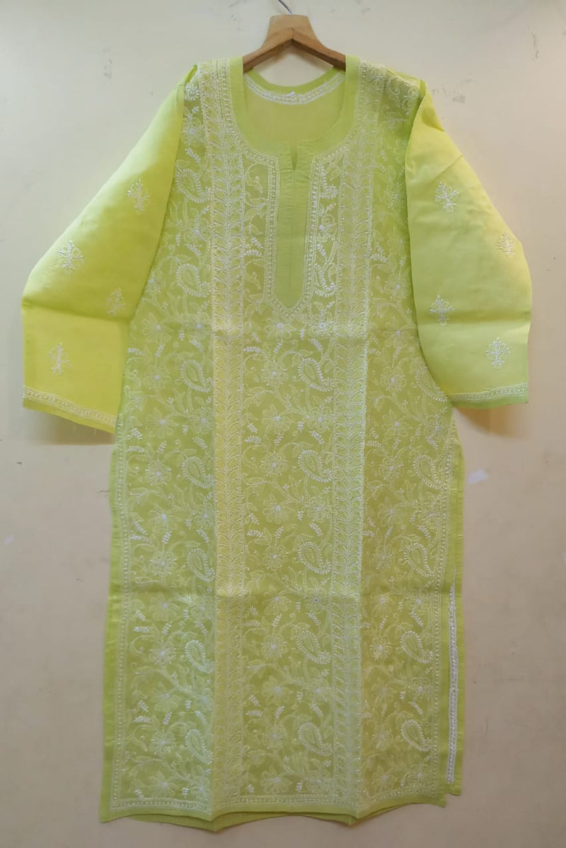 Beautiful Designer Lucknowi Chikankari Kurti