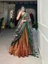 Party Wear Lehenga Choli