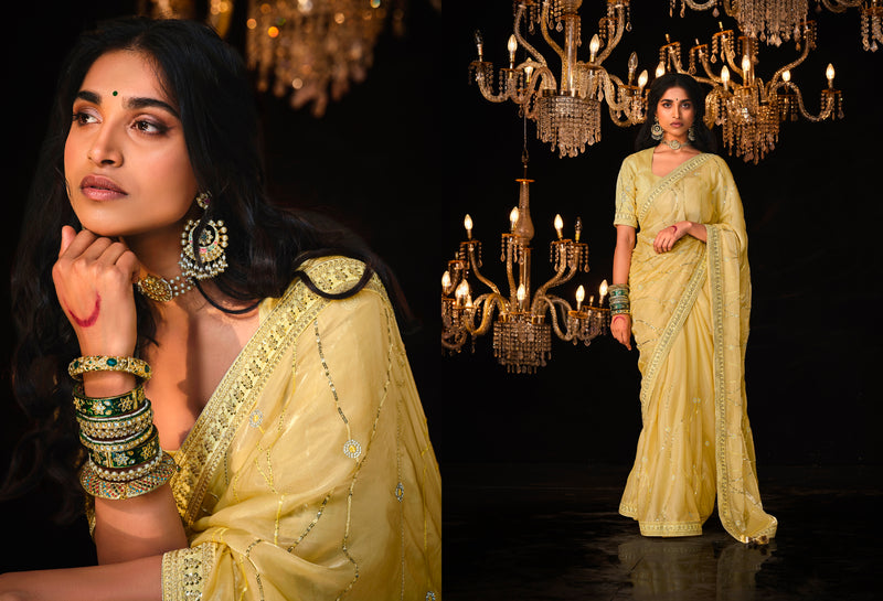 Beautiful Designer Wedding Wear Premium Fancy Work Saree