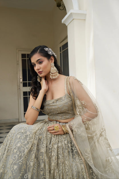 Beautiful Dessigner Occasion Wear Butterfly Net Lehenga Choli