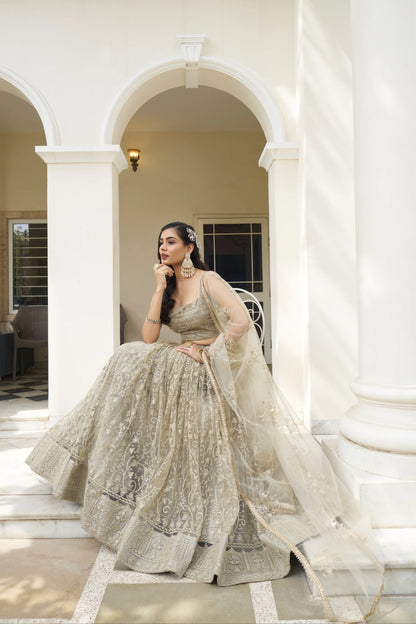 Beautiful Dessigner Occasion Wear Butterfly Net Lehenga Choli