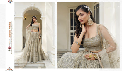 Beautiful Dessigner Occasion Wear Butterfly Net Lehenga Choli