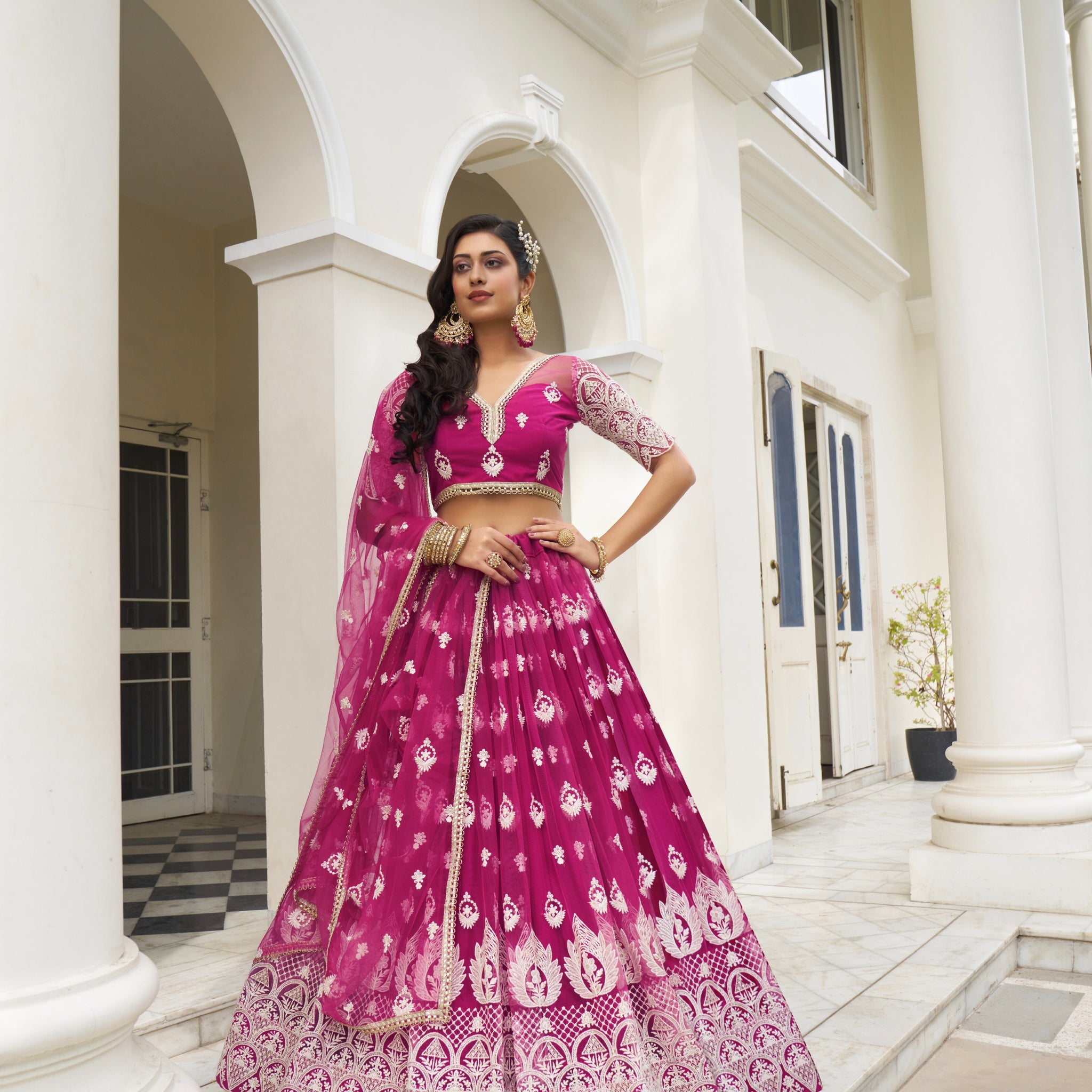 Beautiful Dessigner Occasion Wear Butterfly Net Lehenga Choli
